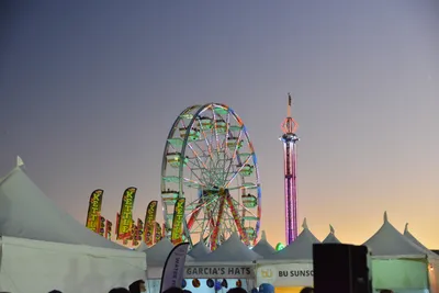 DSC_7741 (Large).JPG